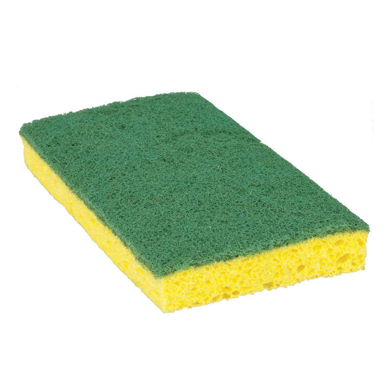 Éponge à récurer - 3 x 6 po