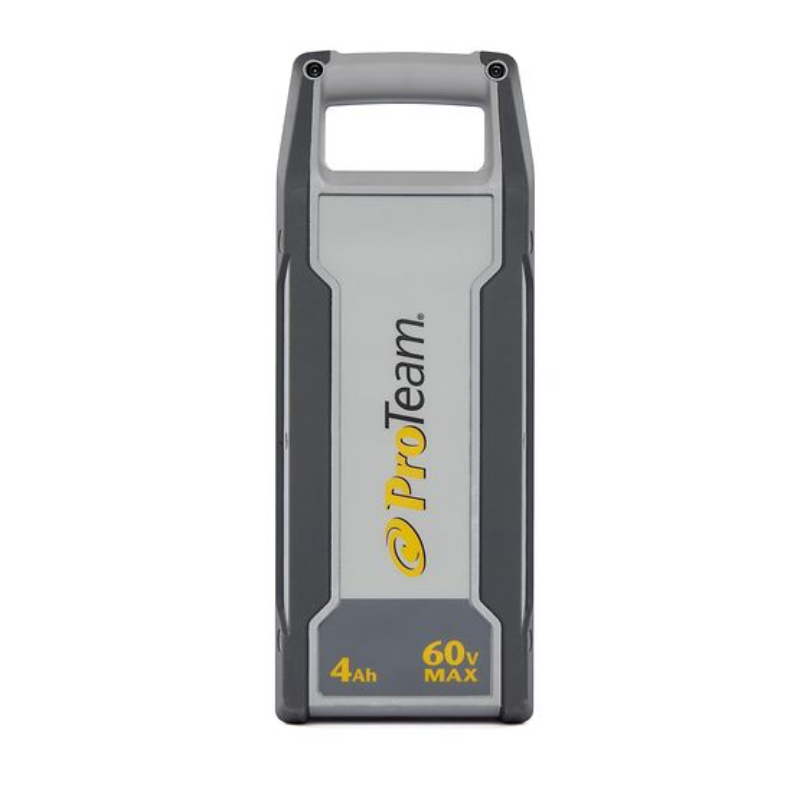 ProTeam – Batterie sans fil GoFit 4Ah Lithium-Ion