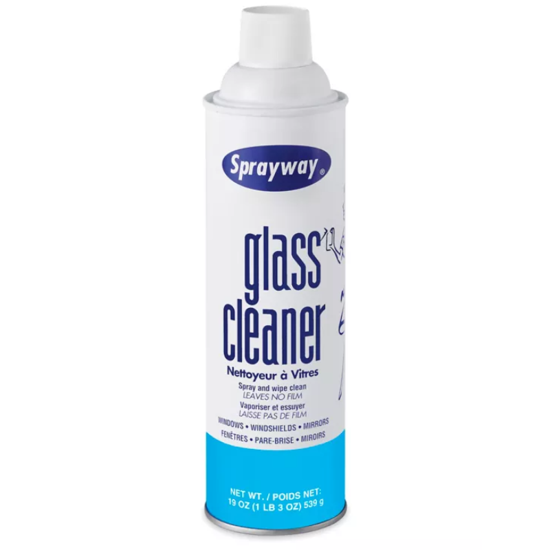 Nettoyant à vitre en aérosol 19 oz